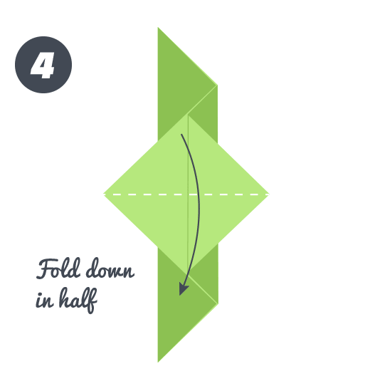 Fold down in half